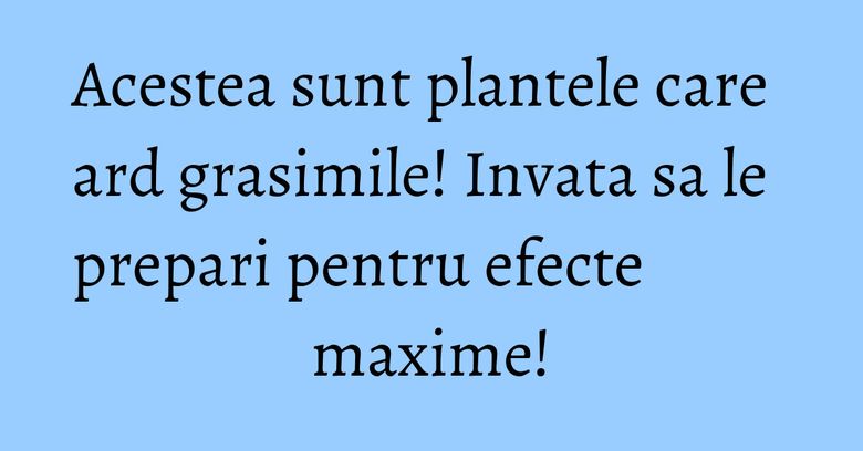 Acestea sunt plantele care ard grasimile! Invata sa le prepari pentru efecte maxime! Acestea sunt plantele care ard grasimile! Invata sa le prepari pentru efecte maxime!