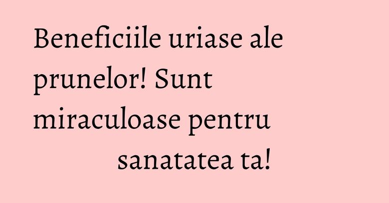 Beneficiile uriase ale prunelor! Sunt miraculoase pentru sanatatea ta!