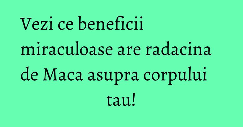 Vezi ce beneficii miraculoase are radacina de Maca asupra corpului tau! Vezi ce beneficii miraculoase are radacina de Maca asupra corpului tau!