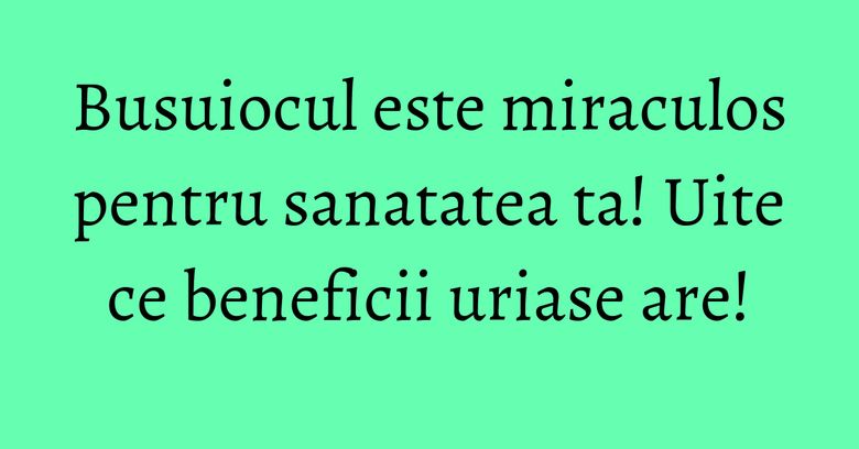 Busuiocul este miraculos pentru sanatatea ta! Uite ce beneficii uriase are! Busuiocul este miraculos pentru sanatatea ta! Uite ce beneficii uriase are!