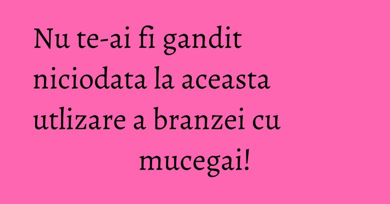 Nu te-ai fi gandit niciodata la aceasta utlizare a branzei cu mucegai! Nu te-ai fi gandit niciodata la aceasta utlizare a branzei cu mucegai!