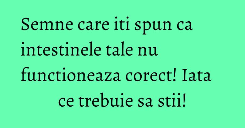 Semne care iti spun ca intestinele tale nu functioneaza corect! Iata ce trebuie sa stii!