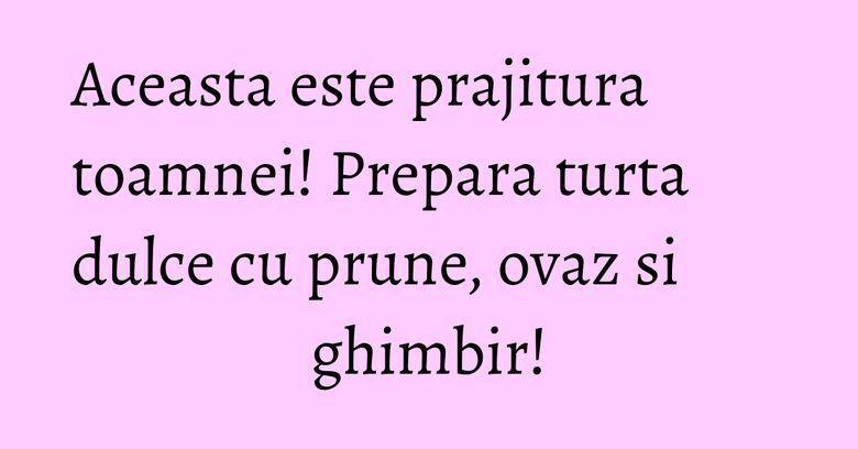 Aceasta este prajitura toamnei! Prepara turta dulce cu prune, ovaz si ghimbir!