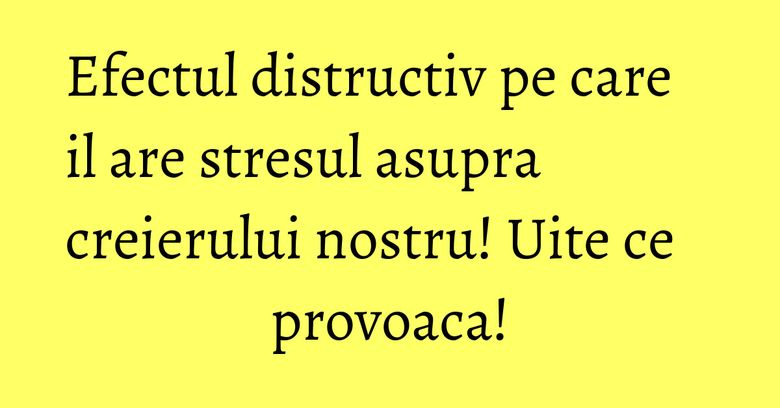 Efectul distructiv pe care il are stresul asupra creierului nostru! Uite ce provoaca!