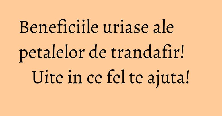 Beneficiile uriase ale petalelor de trandafir! Uite in ce fel te ajuta! Beneficiile uriase ale petalelor de trandafir! Uite in ce fel te ajuta!