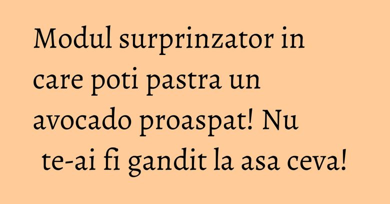 Modul surprinzator in care poti pastra un avocado proaspat! Nu te-ai fi gandit la asa ceva! Modul surprinzator in care poti pastra un avocado proaspat! Nu te-ai fi gandit la asa ceva!