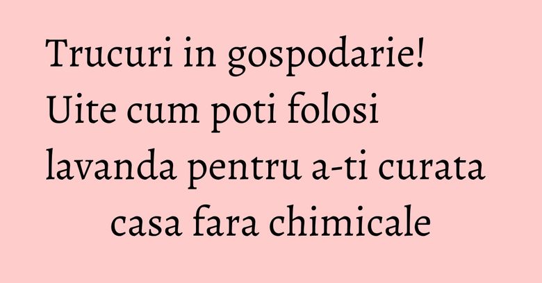 Trucuri in gospodarie! Uite cum poti folosi lavanda pentru a-ti curata casa fara chimicale