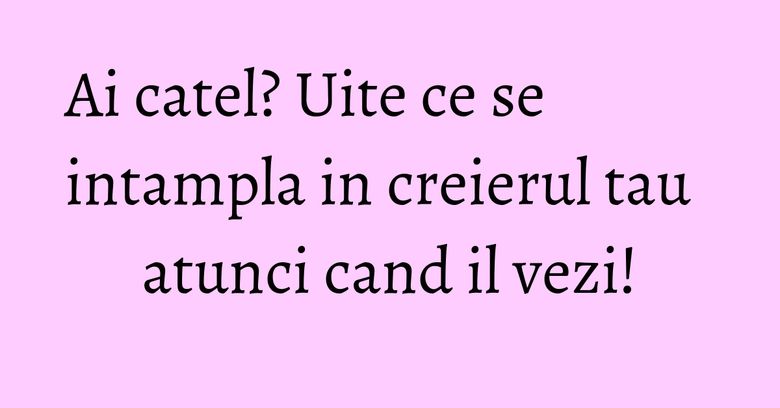 Ai catel? Uite ce se intampla in creierul tau atunci cand il vezi!