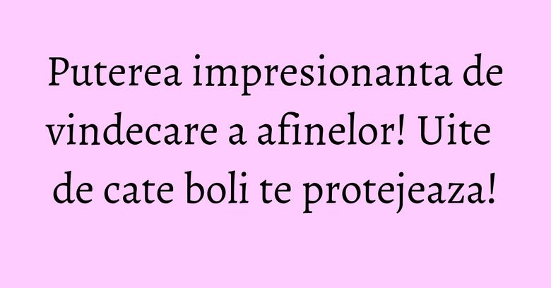 Puterea impresionanta de vindecare a afinelor! Uite de cate boli te protejeaza!