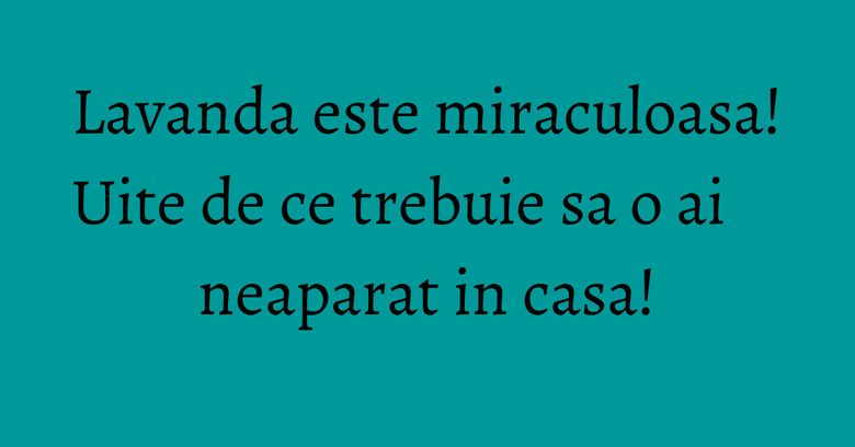 Lavanda este miraculoasa! Uite de ce trebuie sa o ai neaparat in casa! Lavanda este miraculoasa! Uite de ce trebuie sa o ai neaparat in casa!