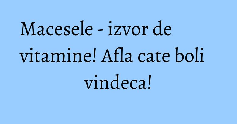 Macesele - izvor de vitamine! Afla cate boli vindeca! Macesele - izvor de vitamine! Afla cate boli vindeca!