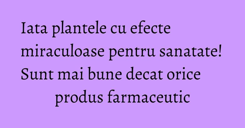 Iata plantele cu efecte miraculoase pentru sanatate! Sunt mai bune decat orice produs farmaceutic Iata plantele cu efecte miraculoase pentru sanatate! Sunt mai bune decat orice produs farmaceutic