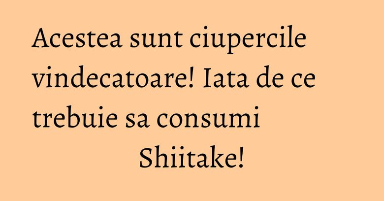 Acestea sunt ciupercile vindecatoare! Iata de ce trebuie sa consumi Shiitake!