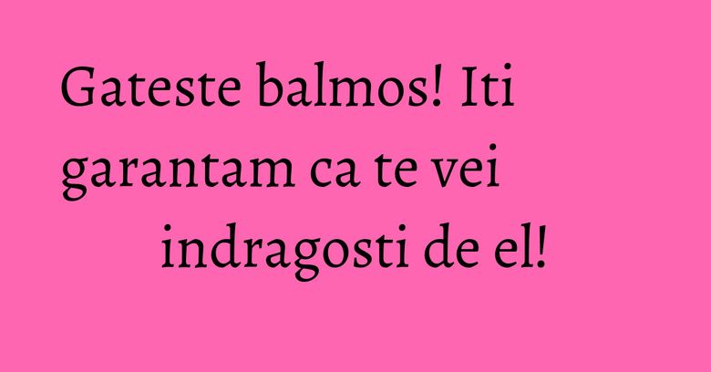 Gateste balmos! Iti garantam ca te vei indragosti de el! Gateste balmos! Iti garantam ca te vei indragosti de el!