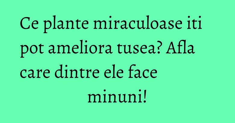 Ce plante miraculoase iti pot ameliora tusea? Afla care dintre ele face minuni!