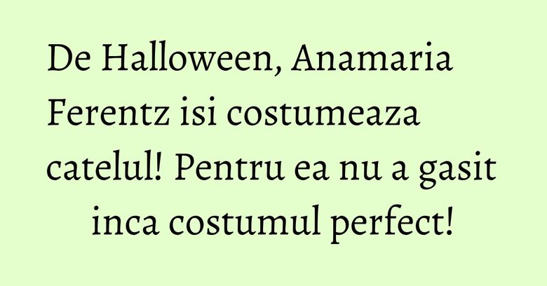 De Halloween, Anamaria Ferentz isi costumeaza catelul! Pentru ea nu a gasit inca costumul perfect! De Halloween, Anamaria Ferentz isi costumeaza catelul! Pentru ea nu a gasit inca costumul perfect!