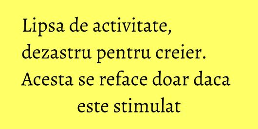 Lipsa de activitate, dezastru pentru creier. Acesta se reface doar daca este stimulat