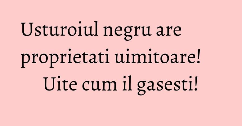 Usturoiul negru are proprietati uimitoare! Uite cum il gasesti!