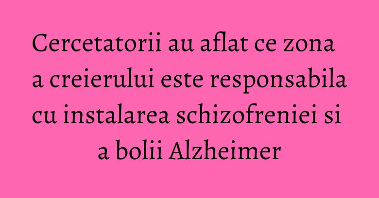 Cercetatorii au aflat ce zona a creierului este responsabila cu instalarea schizofreniei si a bolii Alzheimer Cercetatorii au aflat ce zona a creierului este responsabila cu instalarea schizofreniei si a bolii Alzheimer