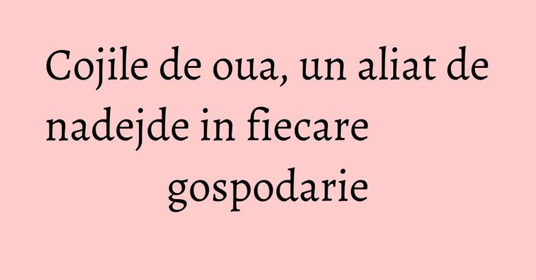 Cojile de oua, un aliat de nadejde in fiecare gospodarie Cojile de oua, un aliat de nadejde in fiecare gospodarie