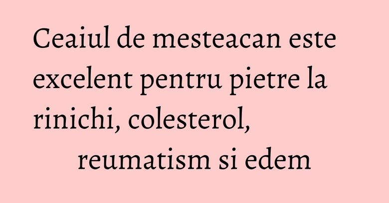 Ceaiul de mesteacan este excelent pentru pietre la rinichi, colesterol, reumatism si edem