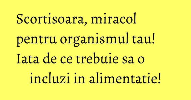 Scortisoara, miracol pentru organismul tau! Iata de ce trebuie sa o incluzi in alimentatie!