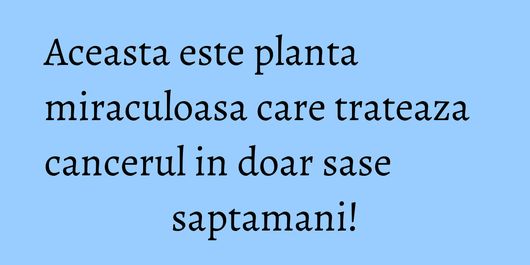 Aceasta este planta miraculoasa care trateaza cancerul in doar sase saptamani!