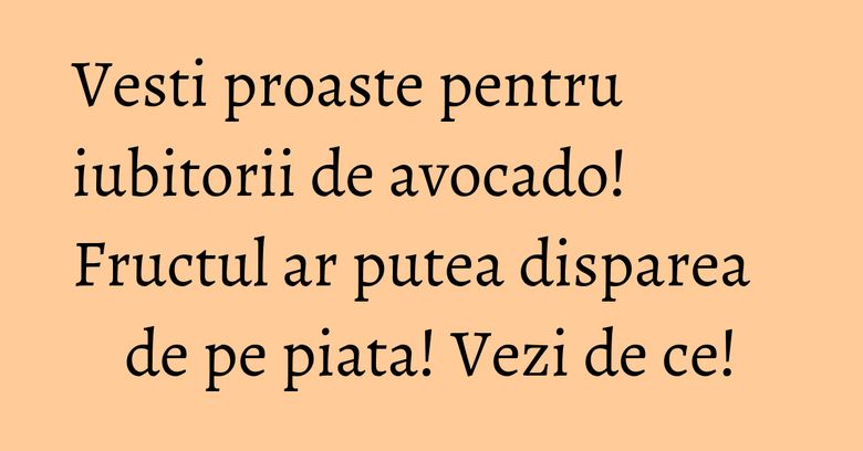 Vesti proaste pentru iubitorii de avocado! Fructul ar putea disparea de pe piata! Vezi de ce! Vesti proaste pentru iubitorii de avocado! Fructul ar putea disparea de pe piata! Vezi de ce!