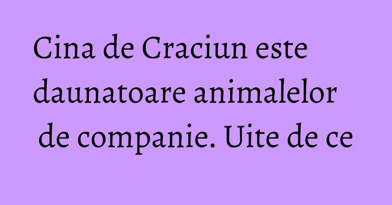 Cina de Craciun este daunatoare animalelor de companie. Uite de ce Cina de Craciun este daunatoare animalelor de companie. Uite de ce