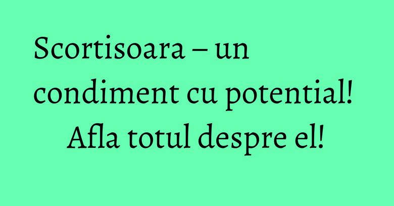 Scortisoara – un condiment cu potential! Afla totul despre el! Scortisoara – un condiment cu potential! Afla totul despre el!