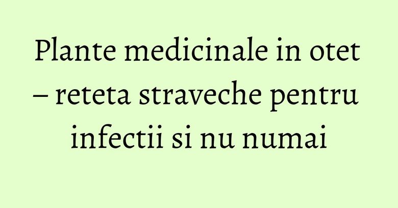Plante medicinale in otet – reteta straveche pentru infectii si nu numai