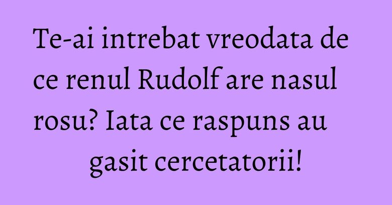 Te-ai intrebat vreodata de ce renul Rudolf are nasul rosu? Iata ce raspuns au gasit cercetatorii!