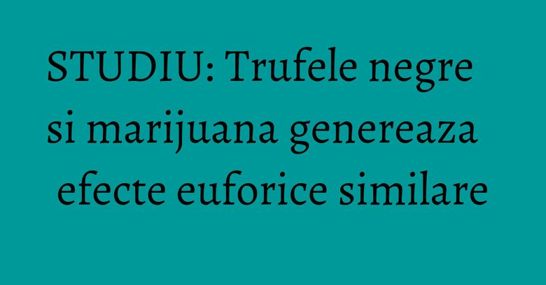 STUDIU: Trufele negre si marijuana genereaza efecte euforice similare STUDIU: Trufele negre si marijuana genereaza efecte euforice similare