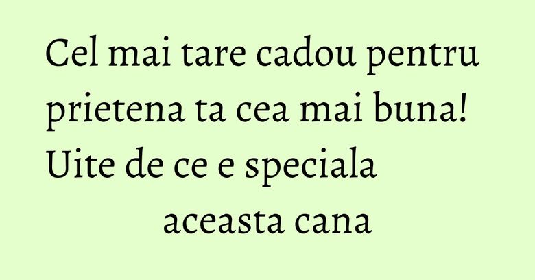 Cel mai tare cadou pentru prietena ta cea mai buna! Uite de ce e speciala aceasta cana Cel mai tare cadou pentru prietena ta cea mai buna! Uite de ce e speciala aceasta cana