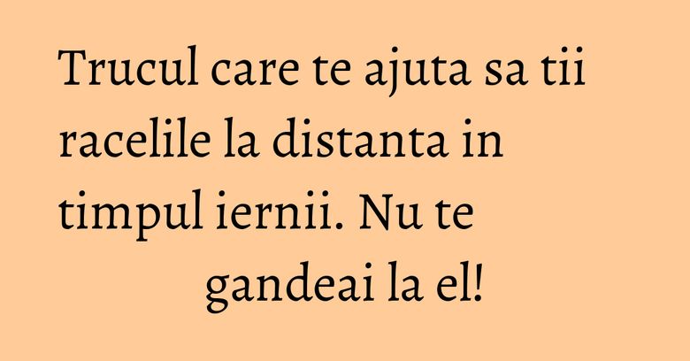 Trucul care te ajuta sa tii racelile la distanta in timpul iernii. Nu te gandeai la el!