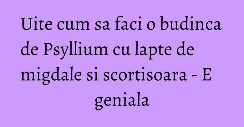Uite cum sa faci o budinca de Psyllium cu lapte de migdale si scortisoara - E geniala Uite cum sa faci o budinca de Psyllium cu lapte de migdale si scortisoara - E geniala