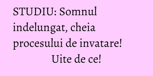 STUDIU: Somnul indelungat, cheia procesului de invatare! Uite de ce!
