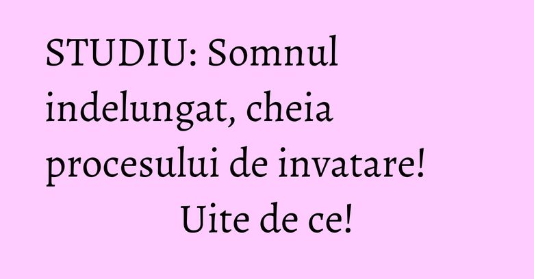 STUDIU: Somnul indelungat, cheia procesului de invatare! Uite de ce! STUDIU: Somnul indelungat, cheia procesului de invatare! Uite de ce!