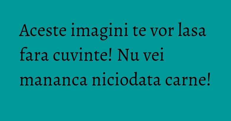 Aceste imagini te vor lasa fara cuvinte! Nu vei mananca niciodata carne! Aceste imagini te vor lasa fara cuvinte! Nu vei mananca niciodata carne!