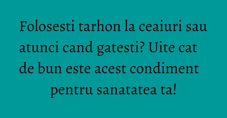 Folosesti tarhon la ceaiuri sau atunci cand gatesti? Uite cat de bun este acest condiment pentru sanatatea ta!