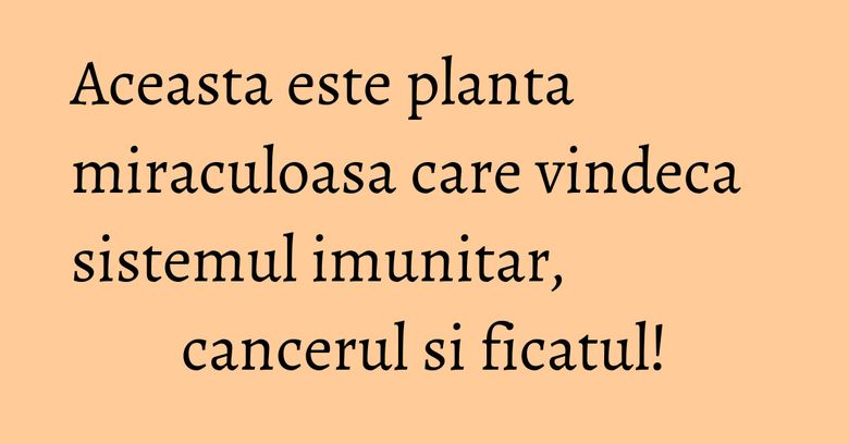 Aceasta este planta miraculoasa care vindeca sistemul imunitar, cancerul si ficatul!