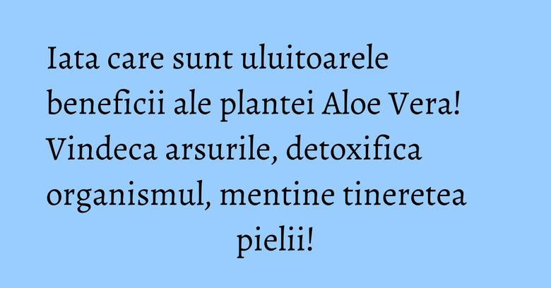 Iata care sunt uluitoarele beneficii ale plantei Aloe Vera! Vindeca arsurile, detoxifica organismul, mentine tineretea pielii! Iata care sunt uluitoarele beneficii ale plantei Aloe Vera! Vindeca arsurile, detoxifica organismul, mentine tineretea pielii!