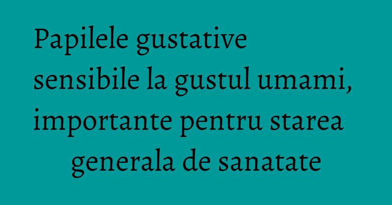 Papilele gustative sensibile la gustul umami, importante pentru starea generala de sanatate Papilele gustative sensibile la gustul umami, importante pentru starea generala de sanatate