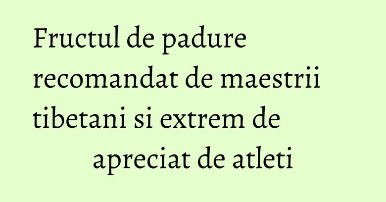 Fructul de padure recomandat de maestrii tibetani si extrem de apreciat de atleti Fructul de padure recomandat de maestrii tibetani si extrem de apreciat de atleti
