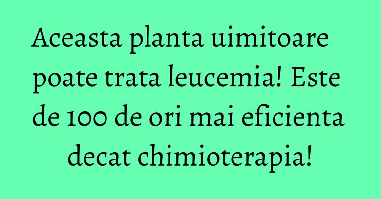 Aceasta planta uimitoare poate trata leucemia! Este de 100 de ori mai eficienta decat chimioterapia!