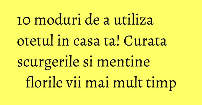 10 moduri de a utiliza otetul in casa ta! Curata scurgerile si mentine florile vii mai mult timp