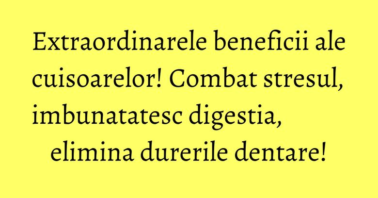 Extraordinarele beneficii ale cuisoarelor! Combat stresul, imbunatatesc digestia, elimina durerile dentare!