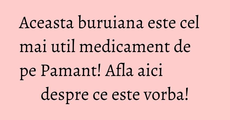 Aceasta buruiana este cel mai util medicament de pe Pamant! Afla aici despre ce este vorba!