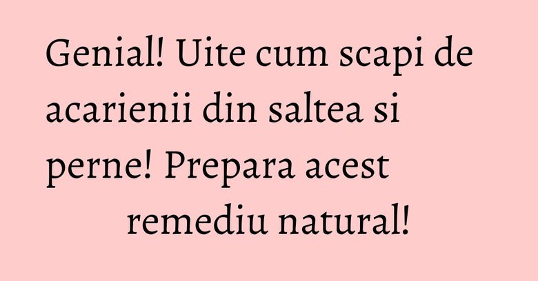 Genial! Uite cum scapi de acarienii din saltea si perne! Prepara acest remediu natural! Genial! Uite cum scapi de acarienii din saltea si perne! Prepara acest remediu natural!