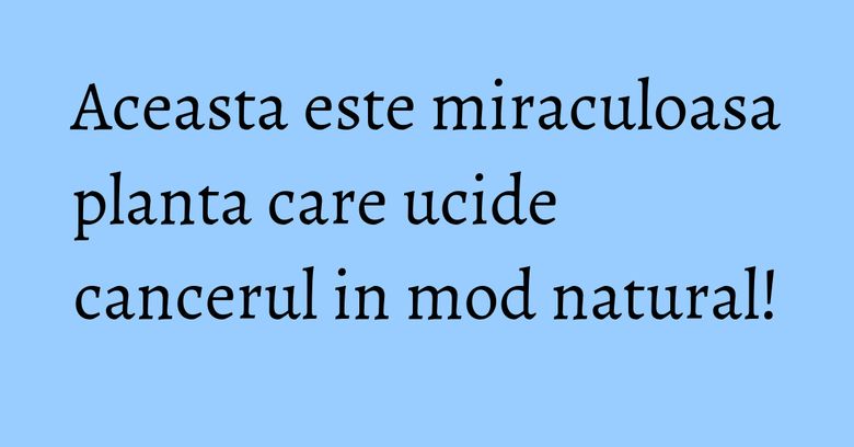 Aceasta este miraculoasa planta care ucide cancerul in mod natural! Aceasta este miraculoasa planta care ucide cancerul in mod natural!